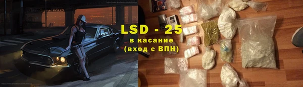 индика Пестово