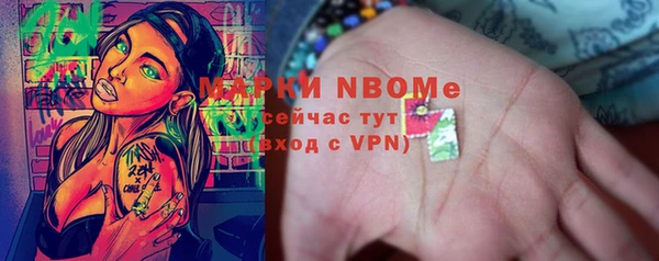 индика Пестово