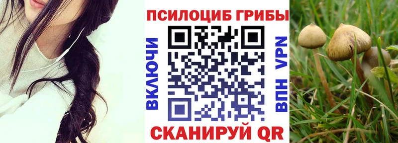 Галлюциногенные грибы ЛСД  KRAKEN рабочий сайт  Шали  купить наркотик 
