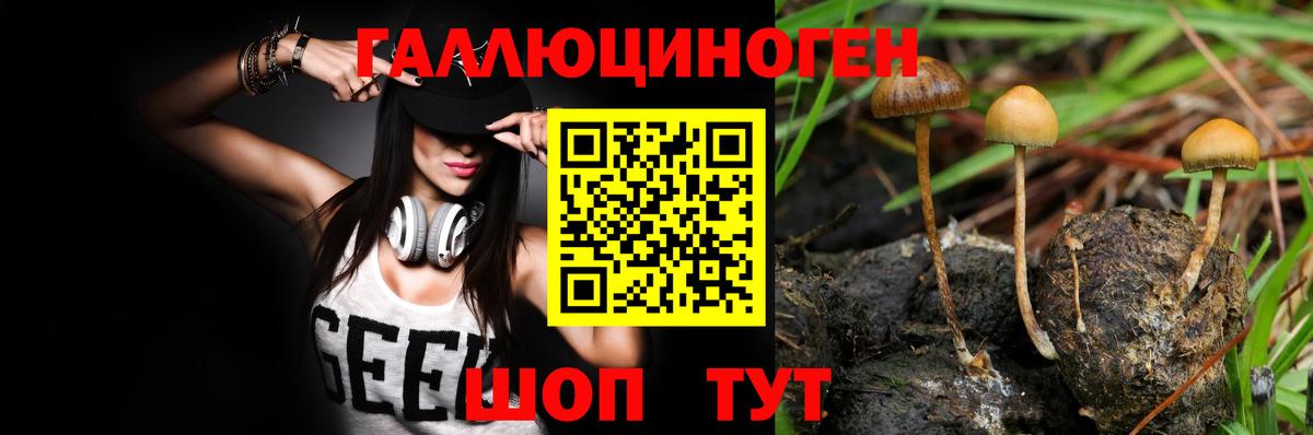 где продают   Галлюциногенные грибы Psilocybe  Вход с VPN  Шали  Псилоцибиновые грибы GOLDEN TEACHER 