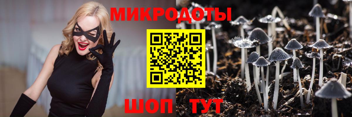 Галлюциногенные грибы мухоморы Шали