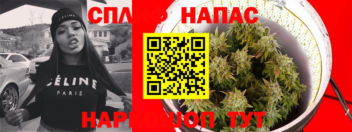 Канабис гибрид Шали